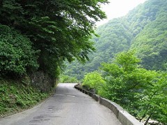 �E���͊R��